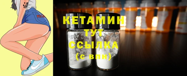 гашик Пестово