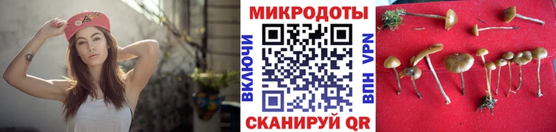 наркошоп Черепаново hydra рабочий сайт Галлюциногенные грибы ЛСД